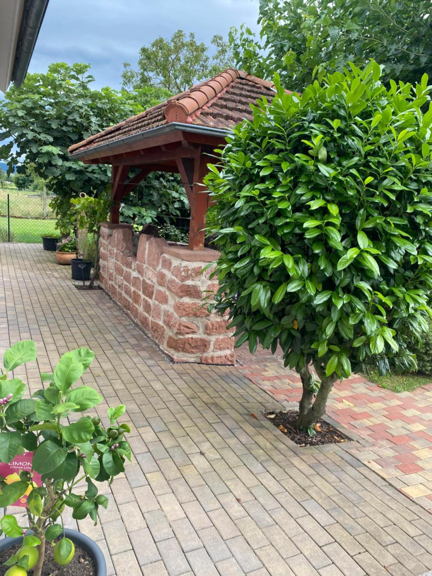 Ferienwohnung An Der Unditz 2 Neuried  المظهر الخارجي الصورة